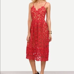 Hollow Out Fit & Flare Lace Cami Dress
